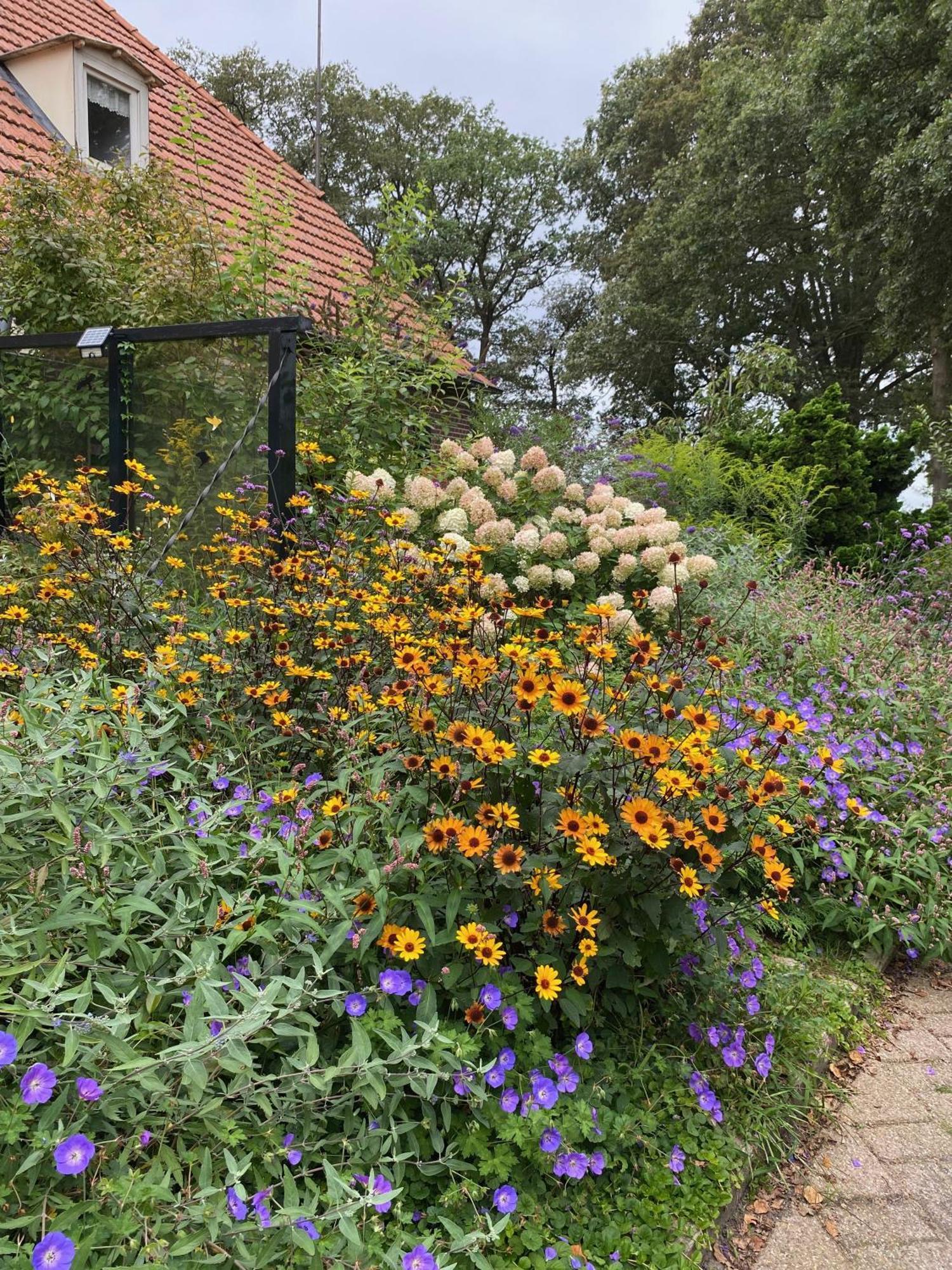 Bed and Breakfast De Viersprong Laren  Exteriér fotografie